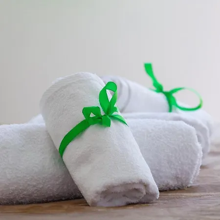 Forest Apartamento Split