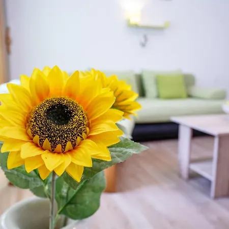 Apartman Forest *
